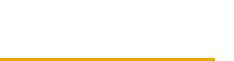 Space Ships Logistics